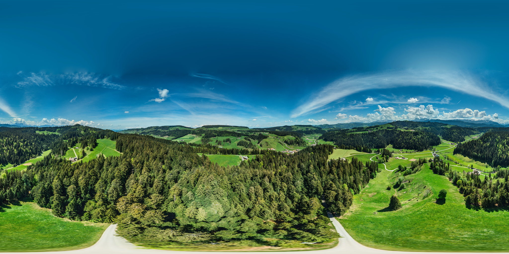 Röthenbach, Junkholz
