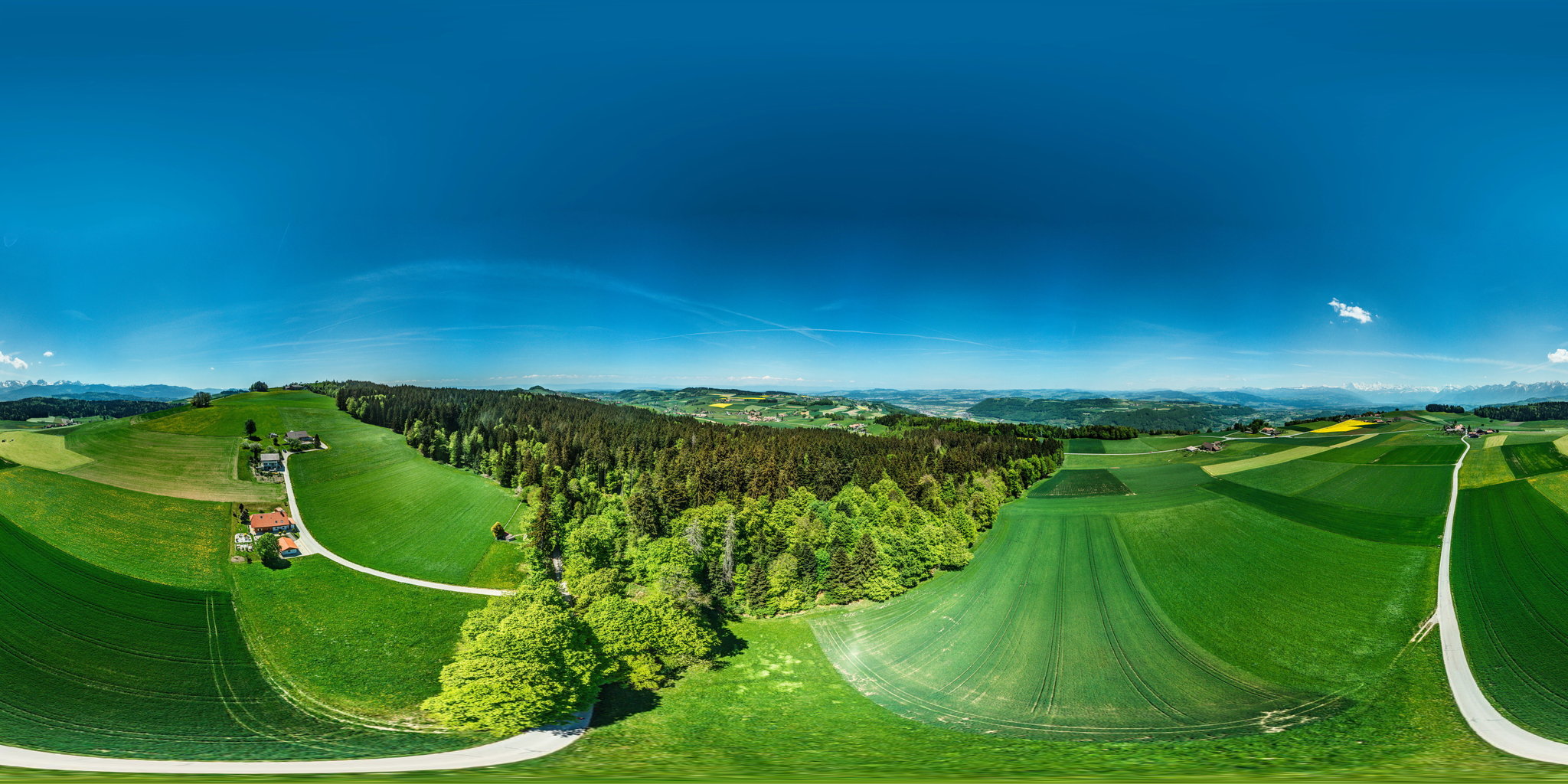 Rattenholz bei Oberbütschel