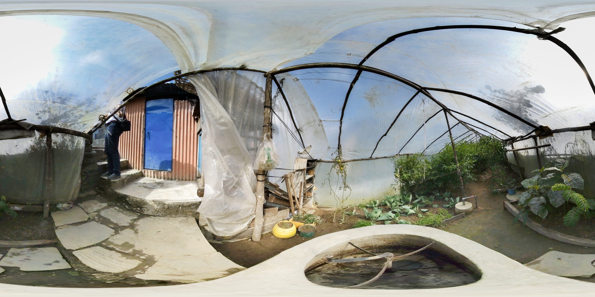 Biogasanlage und Gemüsetreibhaus